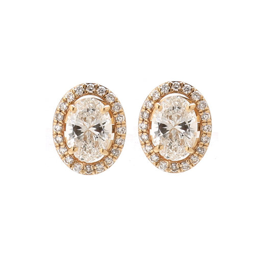 Halo 14K (18k custom) Lab  Diamond Yellow Gold Stud Earrings