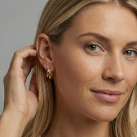 Sleek Double Shine Curve Hoop Earrings in 14K Yellow Gold