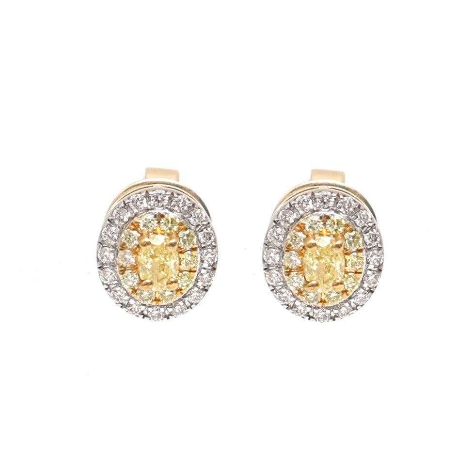 Yellow Diamond Solar Crest Halo 18K Natural Diamond Two-Tone Gold Stud Earrings