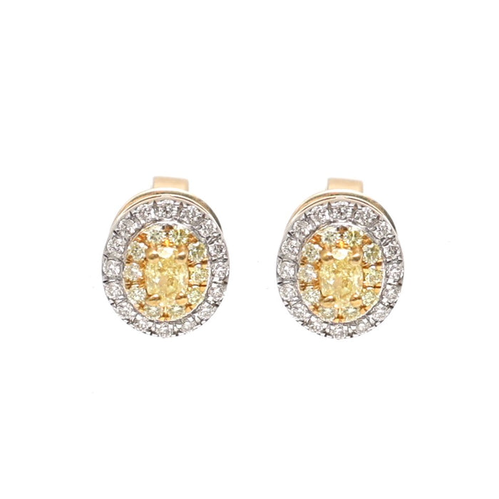 Yellow Diamond Solar Crest Halo 18K Natural Diamond Two-Tone Gold Stud Earrings