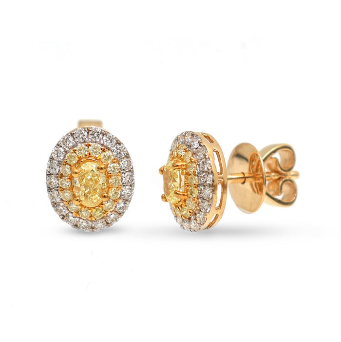 Yellow Diamond Double Halo 18K Natural Diamond Two-Tone Gold Stud Earrings