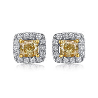 Shine Diamond Stud Earrings in 14K Yellow Gold