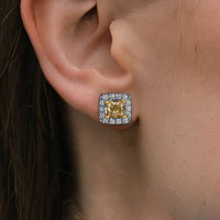 Shine Diamond Stud Earrings in 14K Yellow Gold