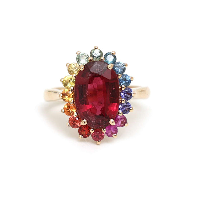 Rainbow Gemstone & Ruby 14K Gold Ring