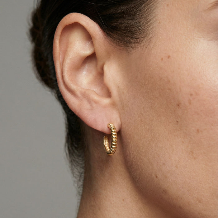 Ribbed Dome Textured Hoop Earrings in 18K Yellow Gold