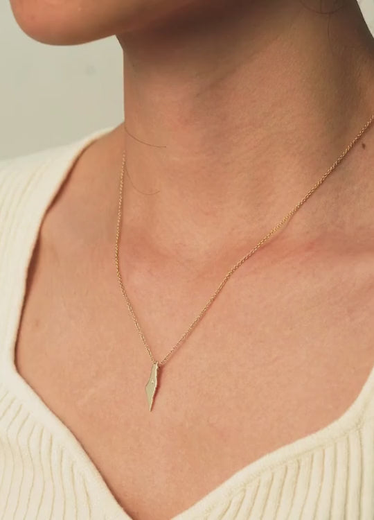 Gold Map Pendant Round Diamond Necklace in 14K Yellow Gold