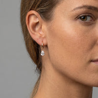 Diamond Drop Hoop Earrings in 14K Yellow Gold